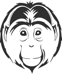 Agencia Carnal Carnal